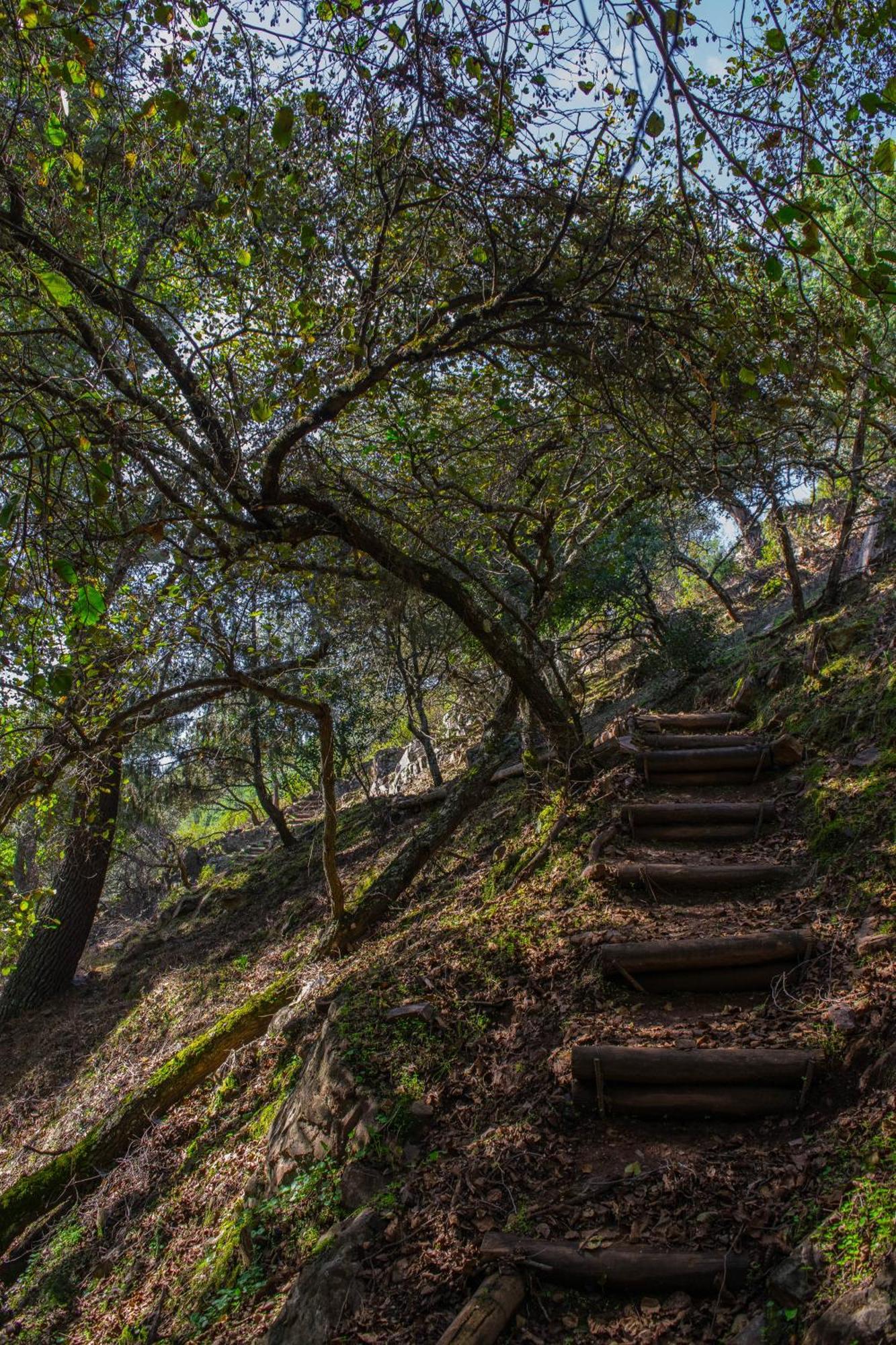 Villamaria, Alma De Despenaperros Miranda del Rey ภายนอก รูปภาพ