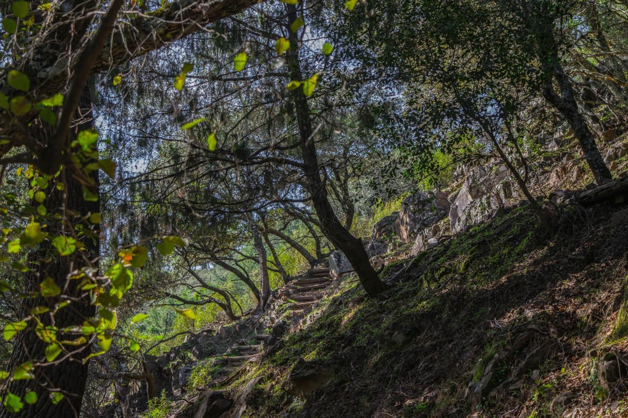 Villamaria, Alma De Despenaperros Miranda del Rey ภายนอก รูปภาพ