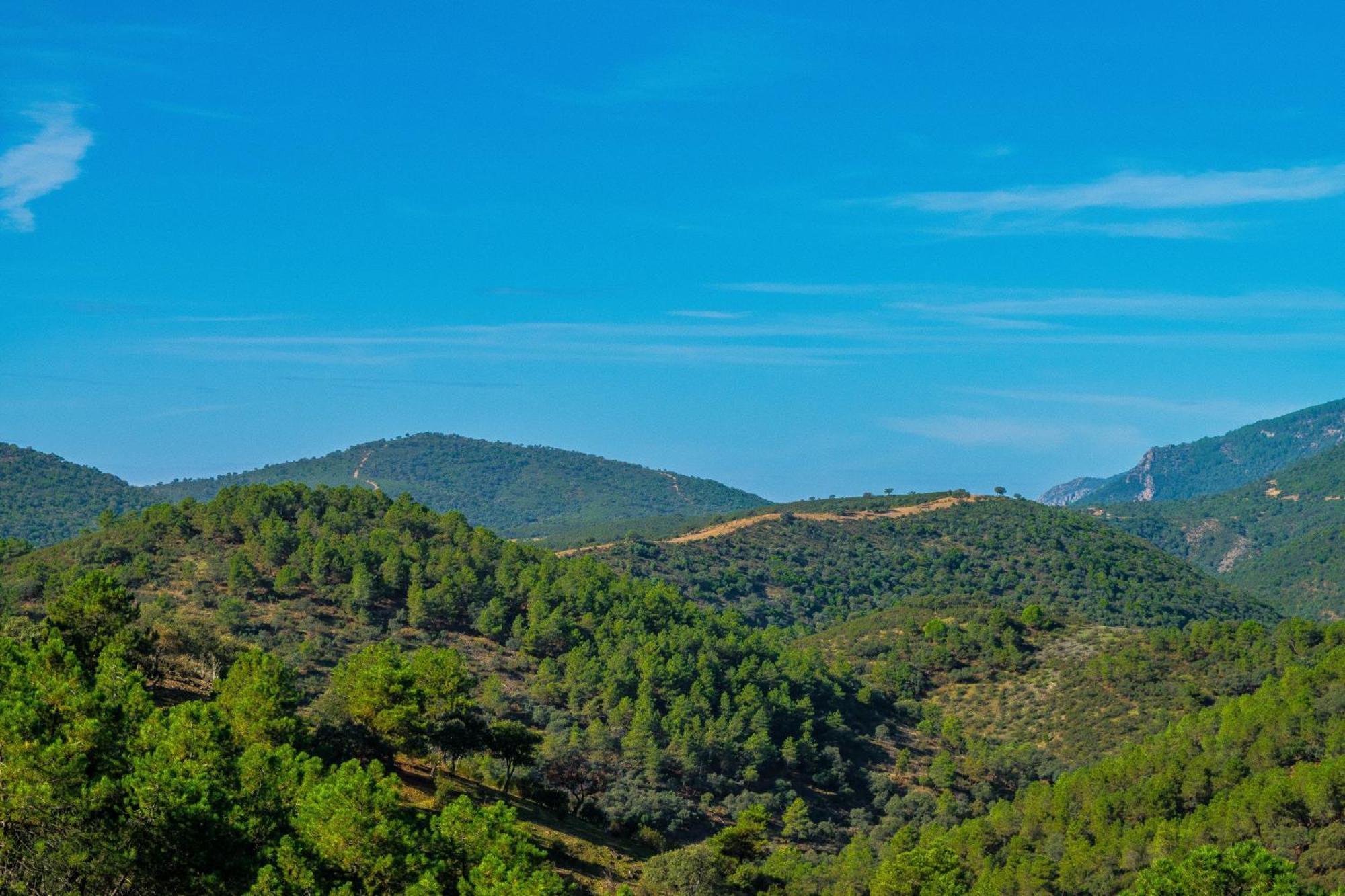 Villamaria, Alma De Despenaperros Miranda del Rey ภายนอก รูปภาพ